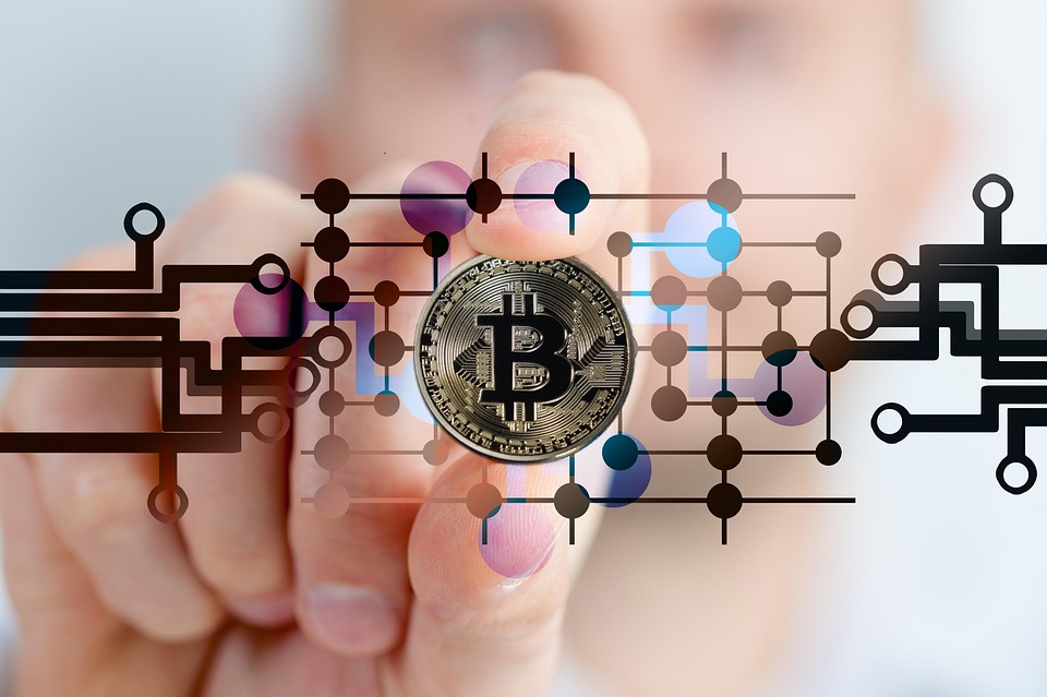 fan token