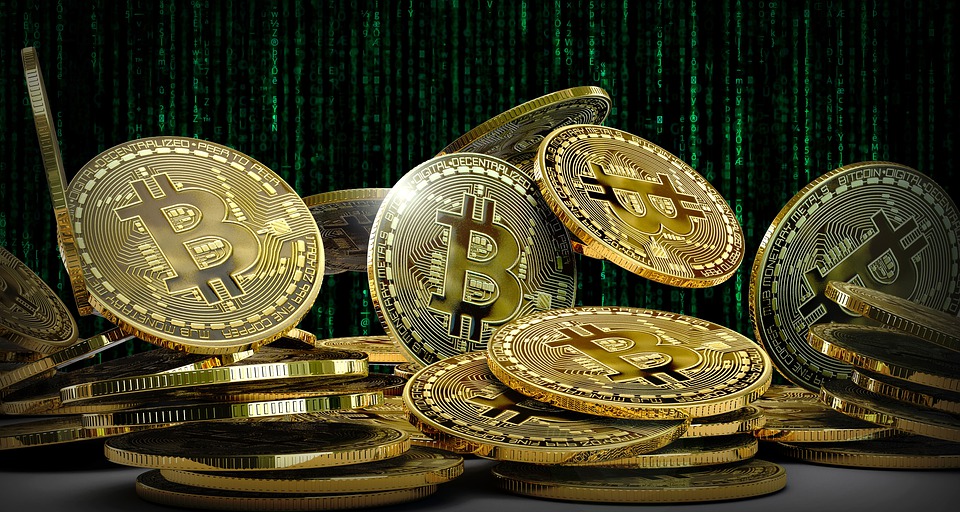 fan token